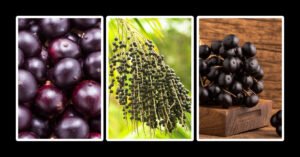 The Power of Acai Berries A Superfood Spotlight